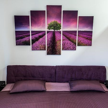 Checkbelgradeapartment- City Center Zewnętrze zdjęcie